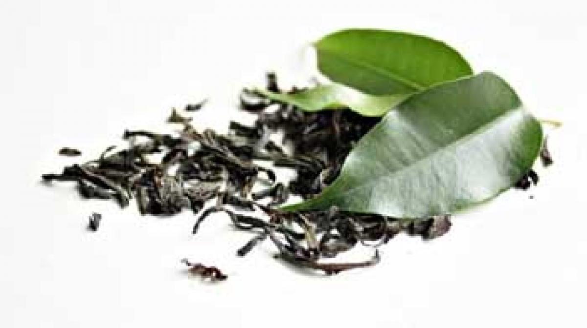 Iron-rich foods may limit green teas health benefits: study